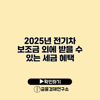 2025년 전기차 보조금 외에 받을 수 있는 세금 혜택