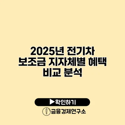 2025년 전기차 보조금 지자체별 혜택 비교 분석