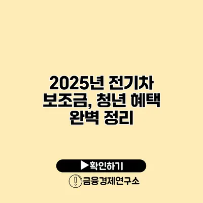 2025년 전기차 보조금, 청년 혜택 완벽 정리