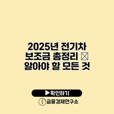 2025년 전기차 보조금 총정리 – 알아야 할 모든 것