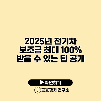 2025년 전기차 보조금 최대 100% 받을 수 있는 팁 공개