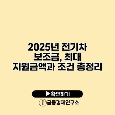 2025년 전기차 보조금, 최대 지원금액과 조건 총정리
