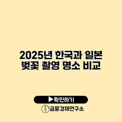 2025년 한국과 일본 벚꽃 촬영 명소 비교
