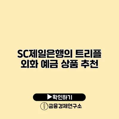 SC제일은행의 트리플 외화 예금 상품 추천