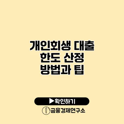 개인회생 대출 한도 산정 방법과 팁