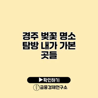 경주 벚꽃 명소 탐방 내가 가본 곳들