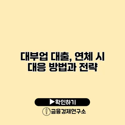 대부업 대출, 연체 시 대응 방법과 전략