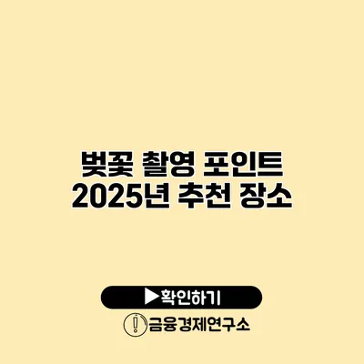벚꽃 촬영 포인트 2025년 추천 장소