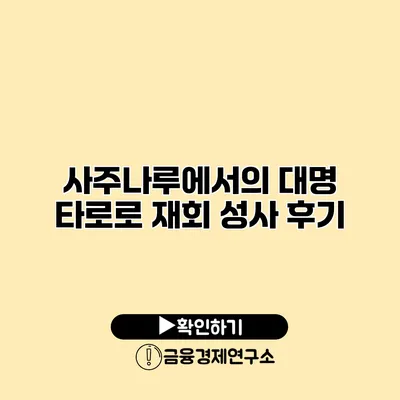 사주나루에서의 대명 타로로 재회 성사 후기