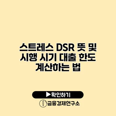 스트레스 DSR 뜻 및 시행 시기 대출 한도 계산하는 법