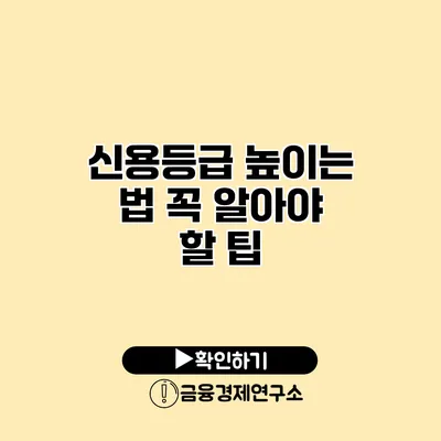 신용등급 높이는 법 꼭 알아야 할 팁