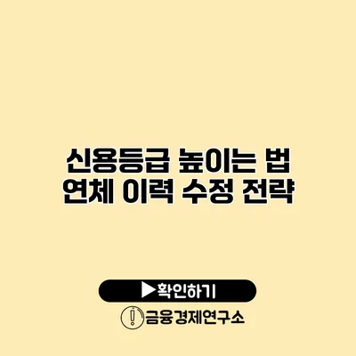신용등급 높이는 법 연체 이력 수정 전략