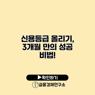 신용등급 올리기, 3개월 만의 성공 비법!