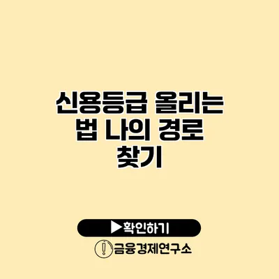 신용등급 올리는 법 나의 경로 찾기