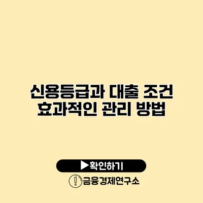 신용등급과 대출 조건 효과적인 관리 방법