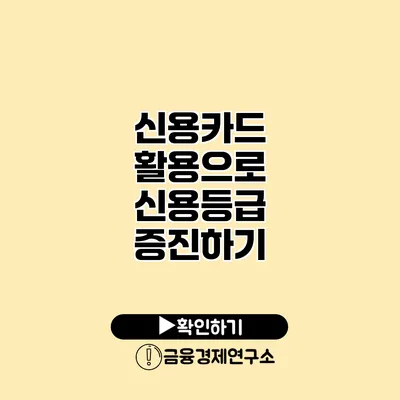 신용카드 활용으로 신용등급 증진하기