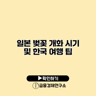 일본 벚꽃 개화 시기 및 한국 여행 팁