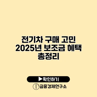전기차 구매 고민 2025년 보조금 혜택 총정리