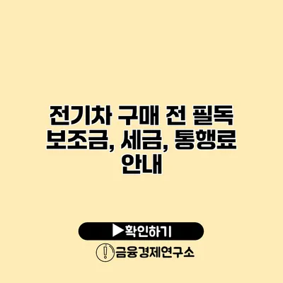 전기차 구매 전 필독 보조금, 세금, 통행료 안내