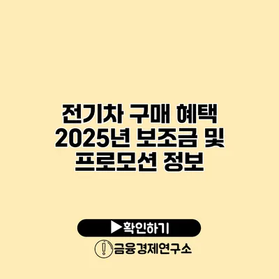 전기차 구매 혜택 2025년 보조금 및 프로모션 정보