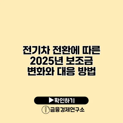 전기차 전환에 따른 2025년 보조금 변화와 대응 방법