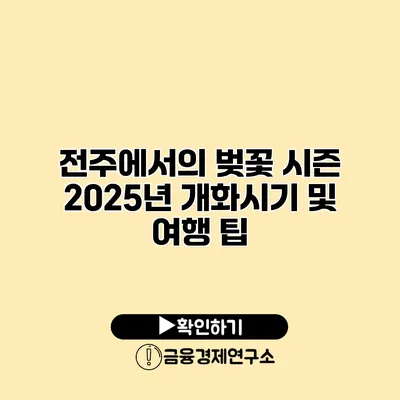 전주에서의 벚꽃 시즌 2025년 개화시기 및 여행 팁