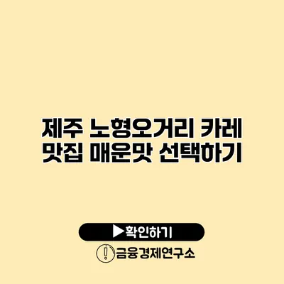 제주 노형오거리 카레 맛집 매운맛 선택하기