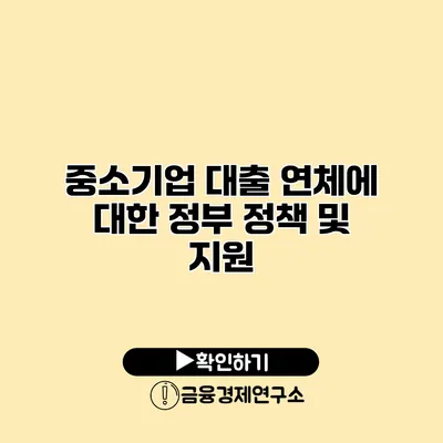 중소기업 대출 연체에 대한 정부 정책 및 지원