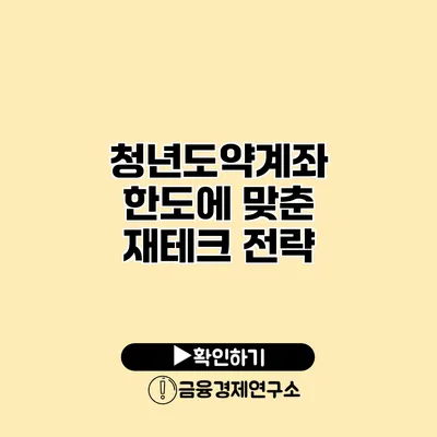 청년도약계좌 한도에 맞춘 재테크 전략