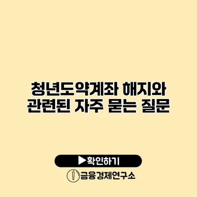 청년도약계좌 해지와 관련된 자주 묻는 질문