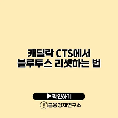 캐딜락 CTS에서 블루투스 리셋하는 법
